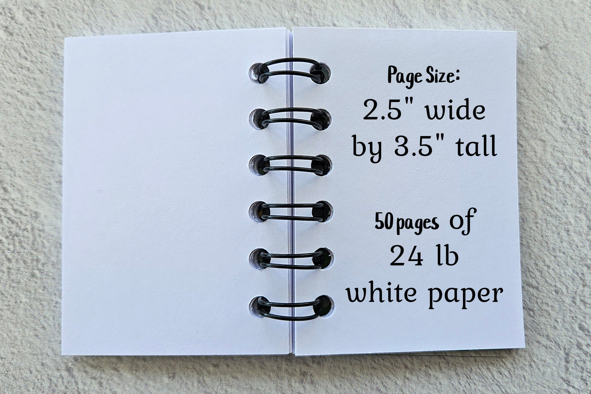 Set of 5 Axolotl Mini Notebooks